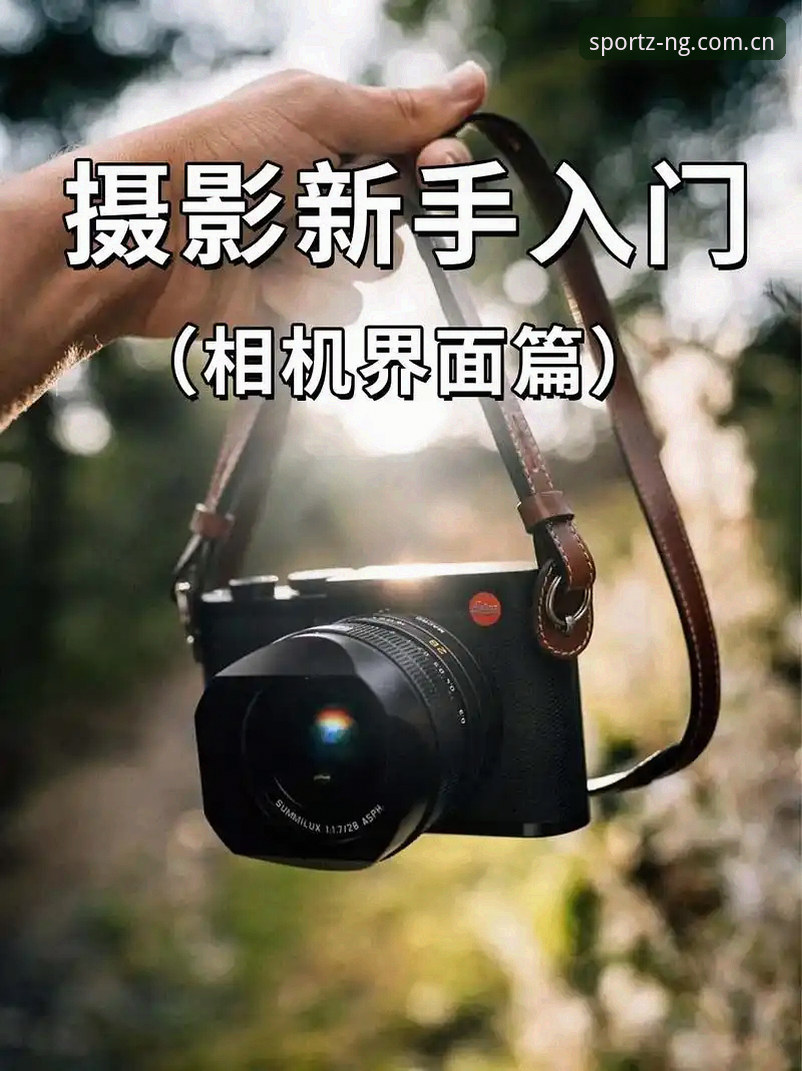 NG体育平台新手入门:官网地址查找与使用全教程